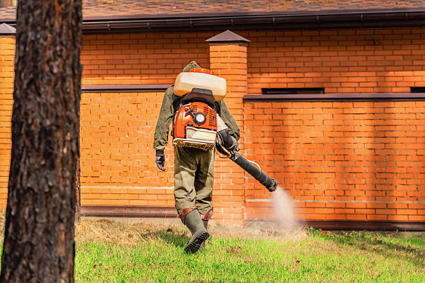 Top rated local Mosquito Control specialists in Walker Mill, MD